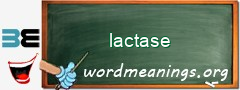 WordMeaning blackboard for lactase